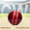 CW Winn Professional Cricket Ball Men - Adult Leather Water Proof 4 Piece Construction Tournament & Match Quality Pack of 12 view 3