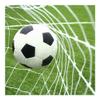 Football Net 24 x 8FT PE Soccer Goal Post Nets Full Size Sports Training Match view 3