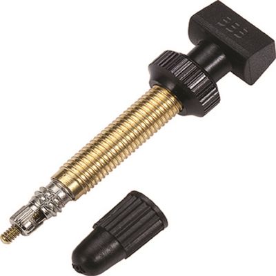 BBB BTI-159 Tubing Tubeless Valve, 1.9 inches (48 mm), Removable CORE 2