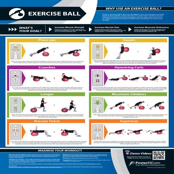 Exercise Ball | Full Core Workout | Improves Strength Training | Laminated Home & Gym Poster | Free Online Video Training Support | Size - 33 x 23.5 | Improves Personal Fitness