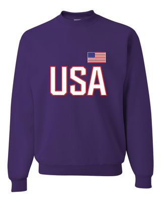 Go All Out Medium Purple Mens USA National Pride Sweatshirt Crewneck