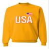 3X-Large Gold Mens USA National Pride Sweatshirt Crewneck view 1