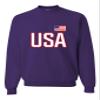 Go All Out 4X-Large Purple Mens USA National Pride Sweatshirt Crewneck view 1