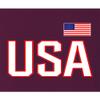 4X-Large Maroon Mens USA National Pride T-Shirt view 4