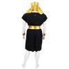 HalloweenPartyOnline HPO Adult Men's Egyptian Pharaoh Costume, Black and Gold (X-Large) view 4