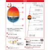 Duel Fukaseuki TG Piece Master Far Throw L 1.0 SO Weight: 0.4 oz (10.7 g) G1348-SO-Shining Orange Surf Fishing view 2