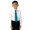 Spring Notion Boys' Satin Zipper Necktie and Handkerchief Set Extra Large Teal view 2