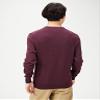 Amazon Essentials Men's Long-Sleeve Crewneck Sweater, 100% Cotton, Big & Tall Options Available, Burgundy, Medium view 2