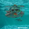 Schildkroet-Funsports Unisex's Turtle Bermuda Three Part Snorkel Set, Multi-Colour, Small(27-32) view 2