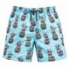INGEAR Little Boys Quick Dry Swim Trunks UPF 50+ Beach Board Shorts Sizes 2T-14 Vibrant Patterns for Summer Adventures view 1