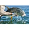 Cortland Precision Tropic Plus All Purpose Taper Fly Line (WF6F) view 3