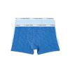 Calvin Klein Boys Modern Cotton Assorted Boxer Briefs Underwear, Pack of 22 Pack - Ck Logo Print Blue Bell, Blue Bell X- Small view 1