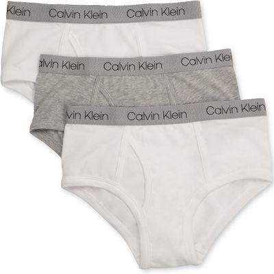 Calvin Klein Kids Boys' Modern Cotton Brief Underwear 3-Pack, Heather Grey/Classic White/Classic White, Medium