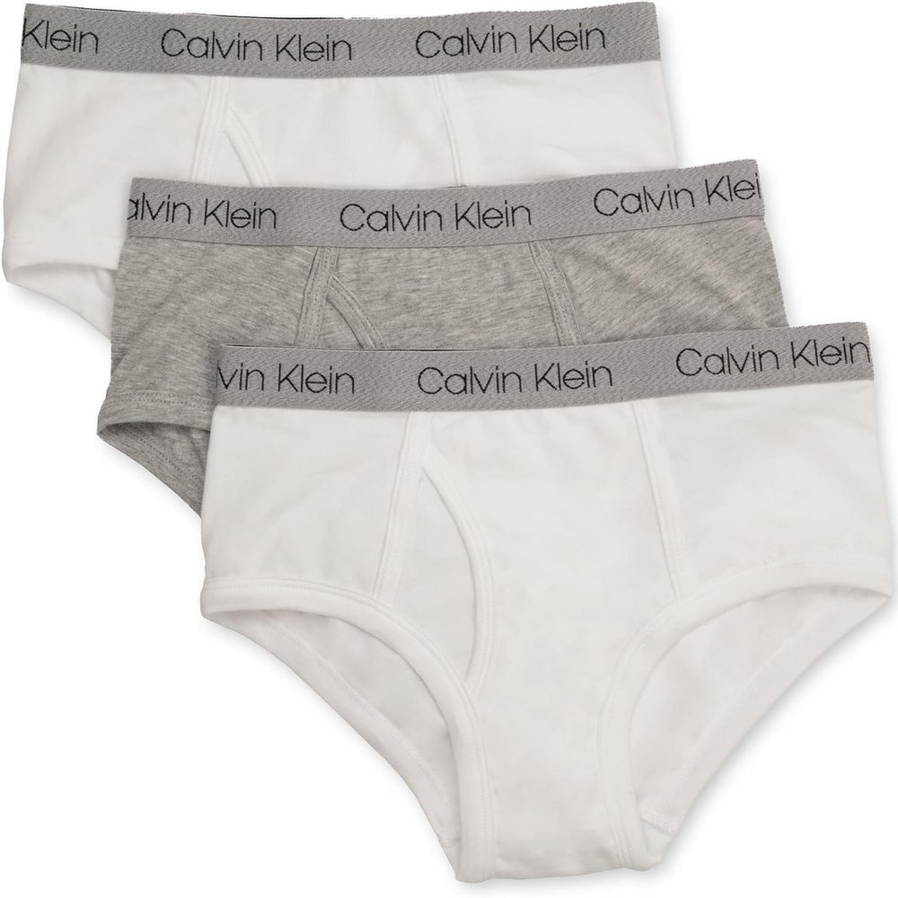 Calvin Klein Kids Boys' Modern Cotton Brief Underwear 3-Pack, Heather Grey/Classic White/Classic White, Medium