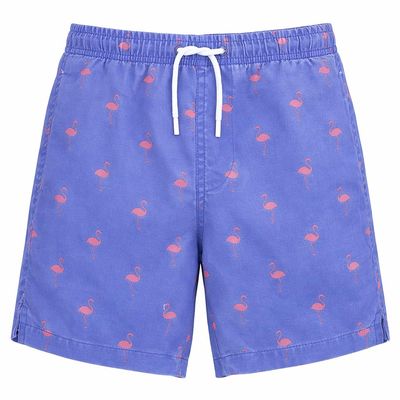 INGEAR Little Boys Quick Dry Swim Trunks UPF 50+ Beach Board Shorts Sizes 2T-14 Vibrant Patterns for Summer Adventures Blue Flamingo