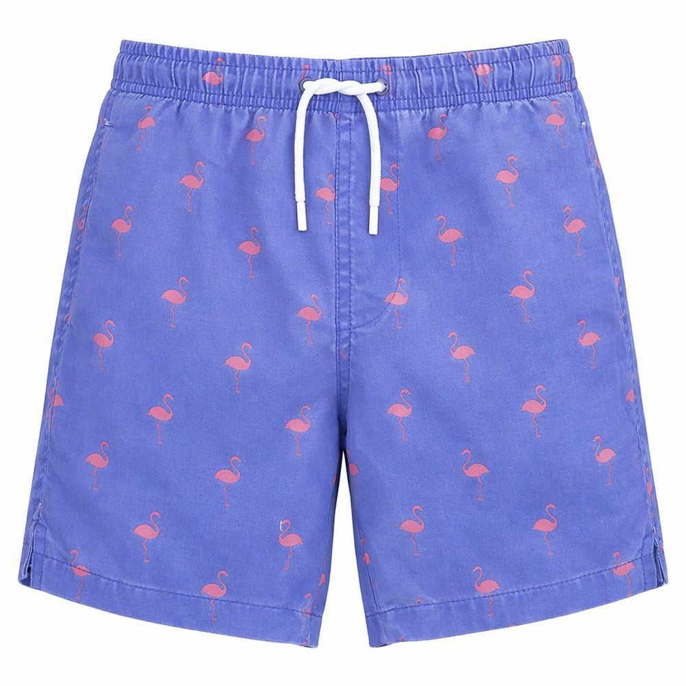 INGEAR Little Boys Quick Dry Swim Trunks UPF 50+ Beach Board Shorts Sizes 2T-14 Vibrant Patterns for Summer Adventures Blue Flamingo