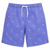 INGEAR Little Boys Quick Dry Swim Trunks UPF 50+ Beach Board Shorts Sizes 2T-14 Vibrant Patterns for Summer Adventures Blue Flamingo view 1