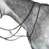 Collegiate Running Martingale IV, Brown, Warmblood view 1