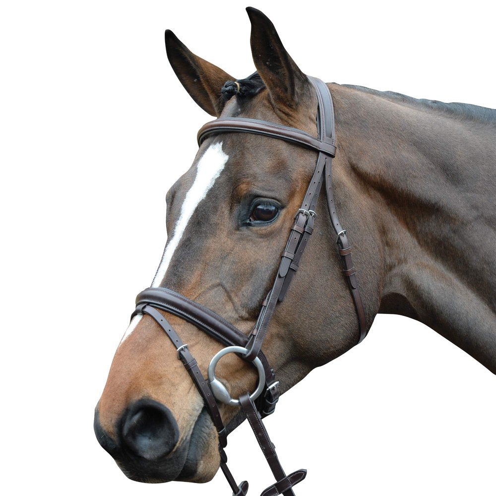 Collegiate Comfort Crown Padded Raised Flash Bridle, Brown, Full
