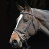 Collegiate Comfort Crown Padded Raised Flash Bridle, Brown, Full view 2