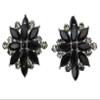 Faship Stunning Black Crystal Floral Clip On Style Earrings - Black view 1