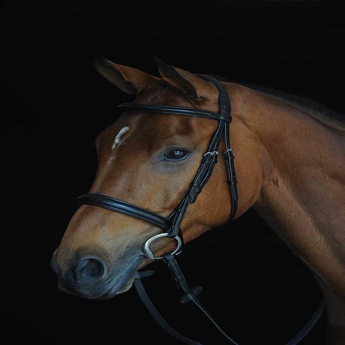 Collegiate Comfort Crown Padded Raised Cavesson Bridle, Brown, Full