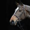 Collegiate Comfort Crown Padded Raised Cavesson Bridle, Brown, Full view 2