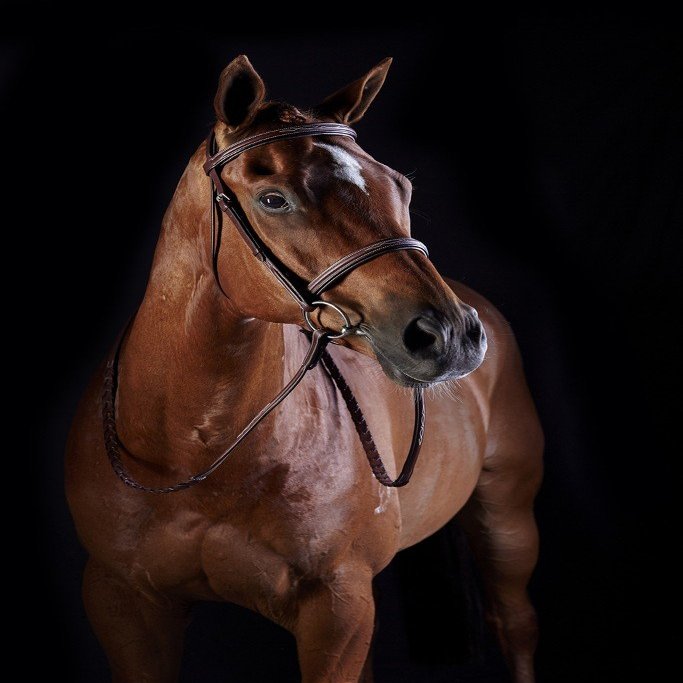 Collegiate Comfort Crown Fancy Stitched Raised Cavesson Bridle, Brown, Warmblood