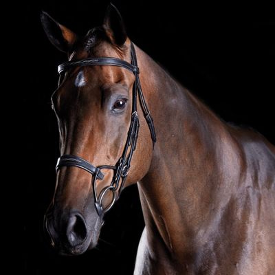Collegiate ComFiTec Fancy Stitch Bridle, Black, Full