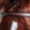 Collegiate ComFiTec Fancy Stitch Bridle, Black, Full view 4