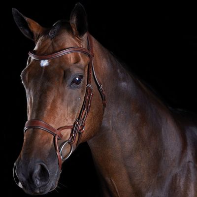 Collegiate ComFiTec Training Bridle, Brown, Cob