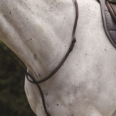 Collegiate Raised Standing Martingale II, Brown, Full