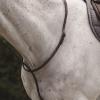Collegiate Raised Standing Martingale II, Brown, Full view 1