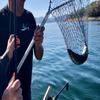 Kokanee Spoons (2): uv Killer Pink view 4