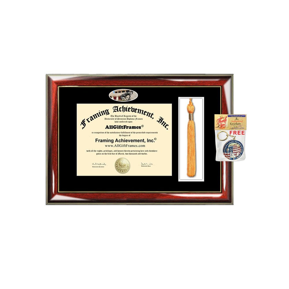 University of Texas Rio Grande Valley Tassel Diploma Frame Graduation Tassel Box UTRGV School Campus Photo Custom Degree Framing Tassel Box Gift Bachelor Master MBA PHD Certificate Holder