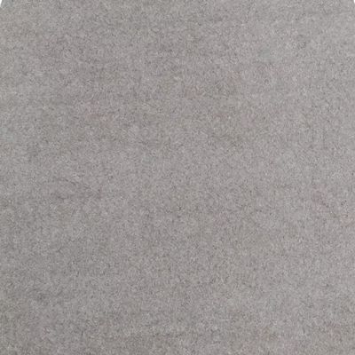 16 Oz Cutpile Boat Carpet (6 x 20, Taupe
