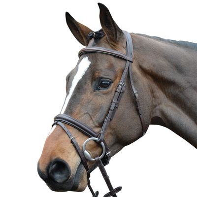 Collegiate Comfort Crown Padded Raised Flash Bridle, Brown, Warmblood
