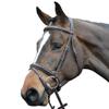 Collegiate Comfort Crown Padded Raised Flash Bridle, Brown, Warmblood view 1