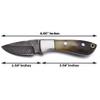 WolfKlinge | Handmade Damascus Steel Fixed Blade Knife | Full Tang Bone Handle | Premium Cow Hide Leather Sheath | Ultimate EDC Knife Ideal for Fishing, Hunting, Camping, Bushcraft, Skinning & Survival | Bone Hunter view 2