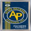 Trends International NFL Green Bay Packers - Retro Logo 14 Wall Poster, 22.375" x 34", Silver Framed Version view 1