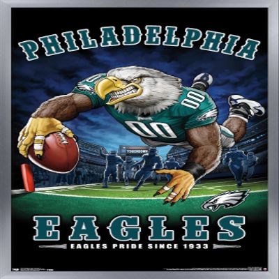 Trends International NFL Philadelphia Eagles - End Zone 17 Wall Poster, 22.375" x 34", Silver Framed Version