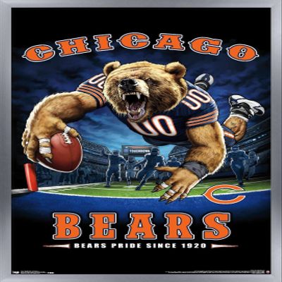 Trends International NFL Chicago Bears - End Zone 17 Wall Poster, 22.375" x 34", Silver Framed Version