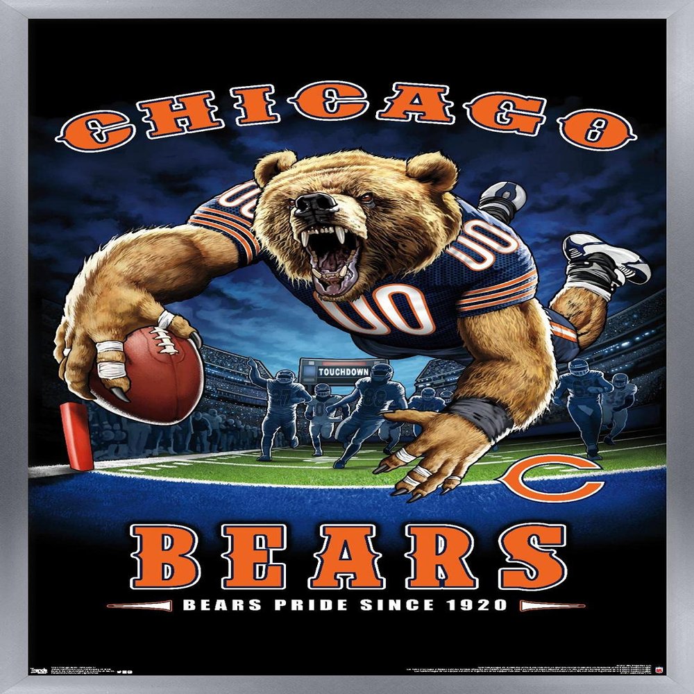 Trends International NFL Chicago Bears - End Zone 17 Wall Poster, 22.375" x 34", Silver Framed Version