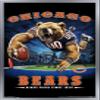 Trends International NFL Chicago Bears - End Zone 17 Wall Poster, 22.375" x 34", Silver Framed Version view 1