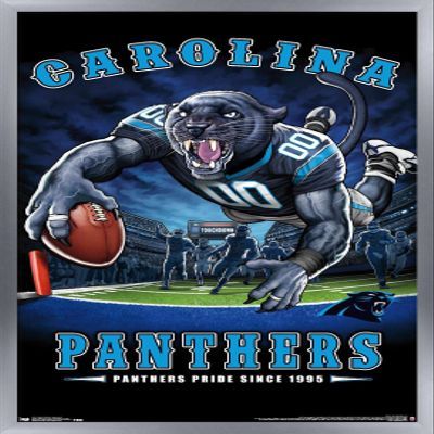 Trends International NFL Carolina Panthers - End Zone 17 Wall Poster, 22.375" x 34", Silver Framed Version