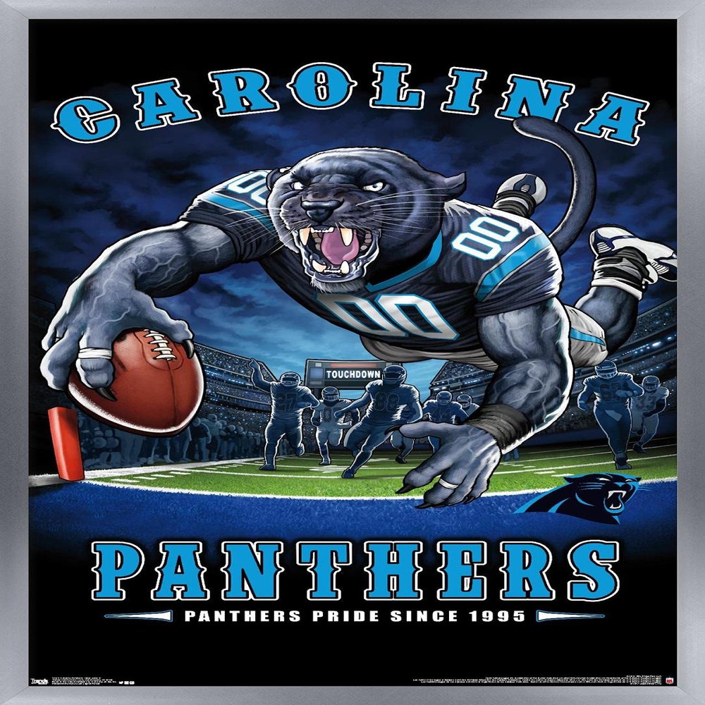 Trends International NFL Carolina Panthers - End Zone 17 Wall Poster, 22.375" x 34", Silver Framed Version