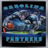 Trends International NFL Carolina Panthers - End Zone 17 Wall Poster, 22.375" x 34", Silver Framed Version view 1