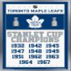 Trends International NHL Toronto Maple Leafs - Champions 16 Wall Poster, 22.375" x 34", Silver Framed Version view 1