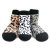 Born to Love Boy's Organic Cotton Skull Sock Set 2 to 3 Years, leopard print view 1