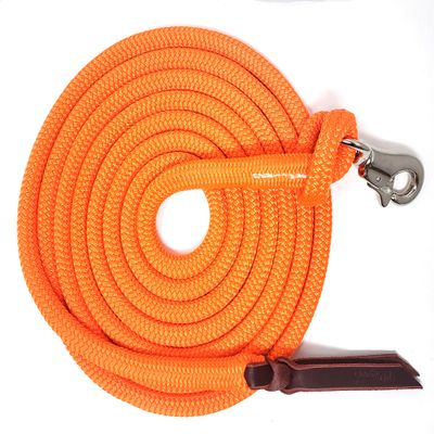 Knotty Girlz 14FT Lead Rope with NP Snap